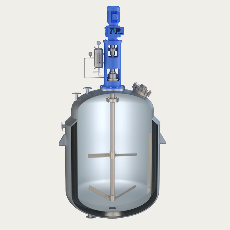 TOPA001DR Top-Entry Mixer